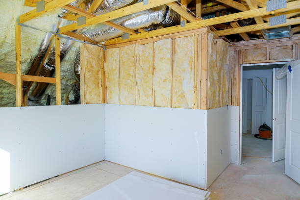 Best Insulation for New Construction  in USA